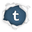 Share via Tumblr