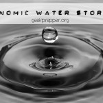 Economic Water Storage