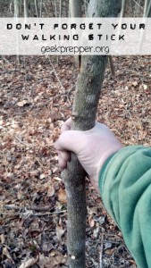 Don't forget your walking stick