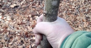 Don't forget your walking stick