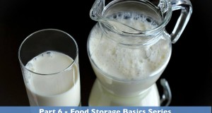 storing dairy products
