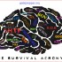 the SURVIVAL acronym