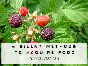 4 Silent Methods to Acquire Food
