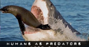 humans as predators after shtf