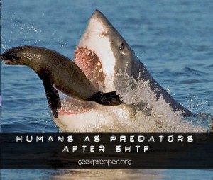 humans as predators after shtf