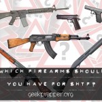 Firearms for SHTF