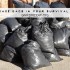 garbage bags in your survival kit