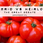 Hybrid Seeds vs Heirloom Seeds Ð The great debate