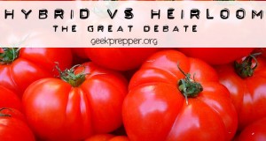 hybrid vs heirloom seeds