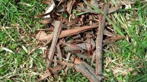 bushcraft slingshot wood shavings