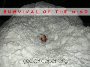 survival of the mind