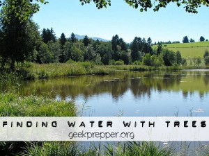 finding water with trees