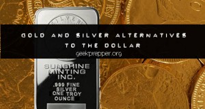 gold and silver alternatives to the dollar