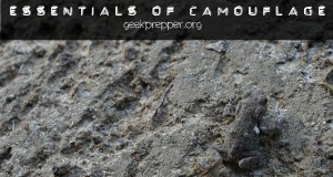essentials of camouflage