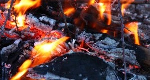 Zemanta Related Posts Thumbnail