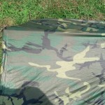 twig on other side of shelter