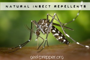 natural insect Repellents