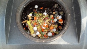 Benfits of composting your organic waste. Organic Waste in the compost tumbler.
