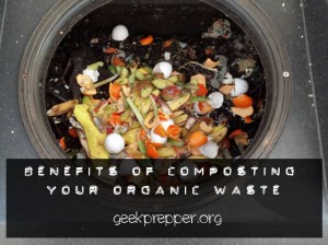 benefits of composting your organic waste