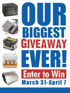 biggiveaway