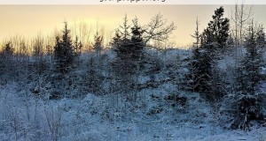 cold weather dehydration