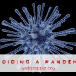 Avoid a Pandemic
