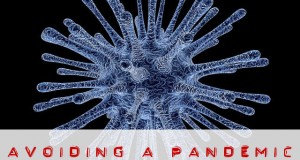 avoiding a pandemic