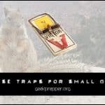 Trapping with mouse traps and rat traps