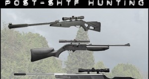 air rifles for post shtf hunting