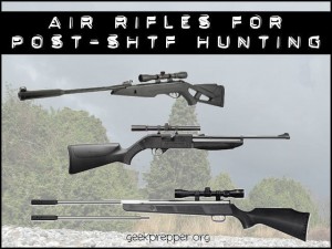 air rifles for post shtf hunting