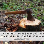 Obtaining Firewood
