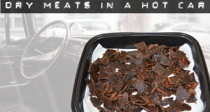 dry meats in a hot car