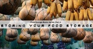 storing your food storage