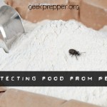 Protecting Food from Pests
